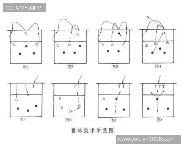 深圳排球队转换打法深度分析与战术创新探讨
